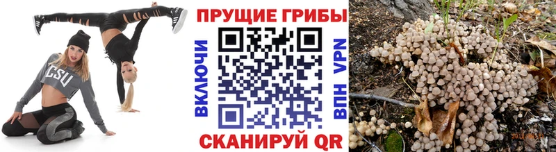 Галлюциногенные грибы прущие грибы  Заозёрный 